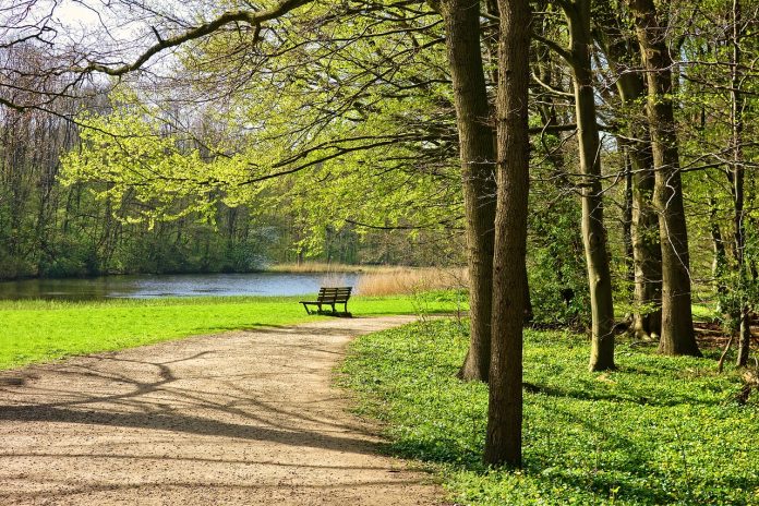 park-3353659_1280