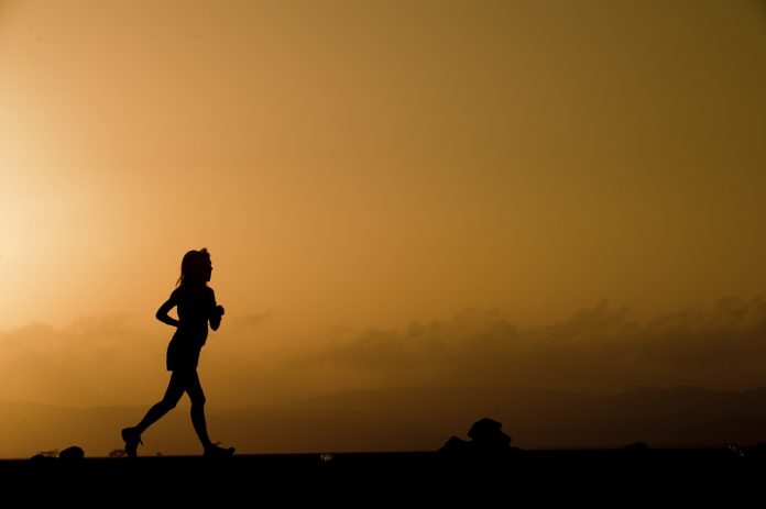 silhouette-1159234_1280