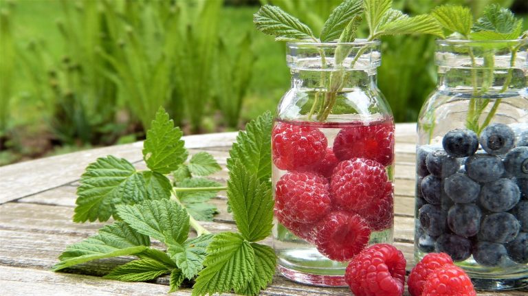 I have been eating 1200 calories a day with 10 to 12 fat grams each day. I have been eating 1200 calories a day with 10 to 12 fat grams each day.